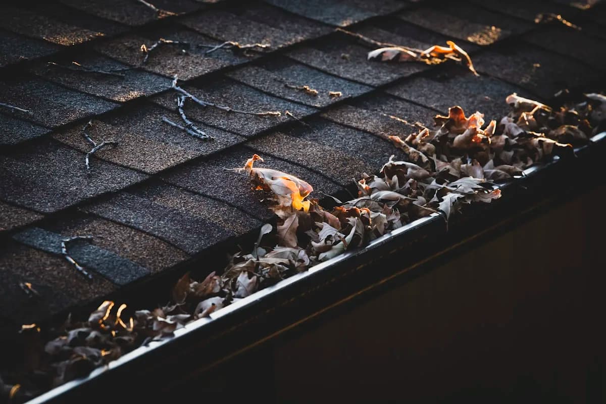 Gutter packed with fall leaves before cleaning and guards