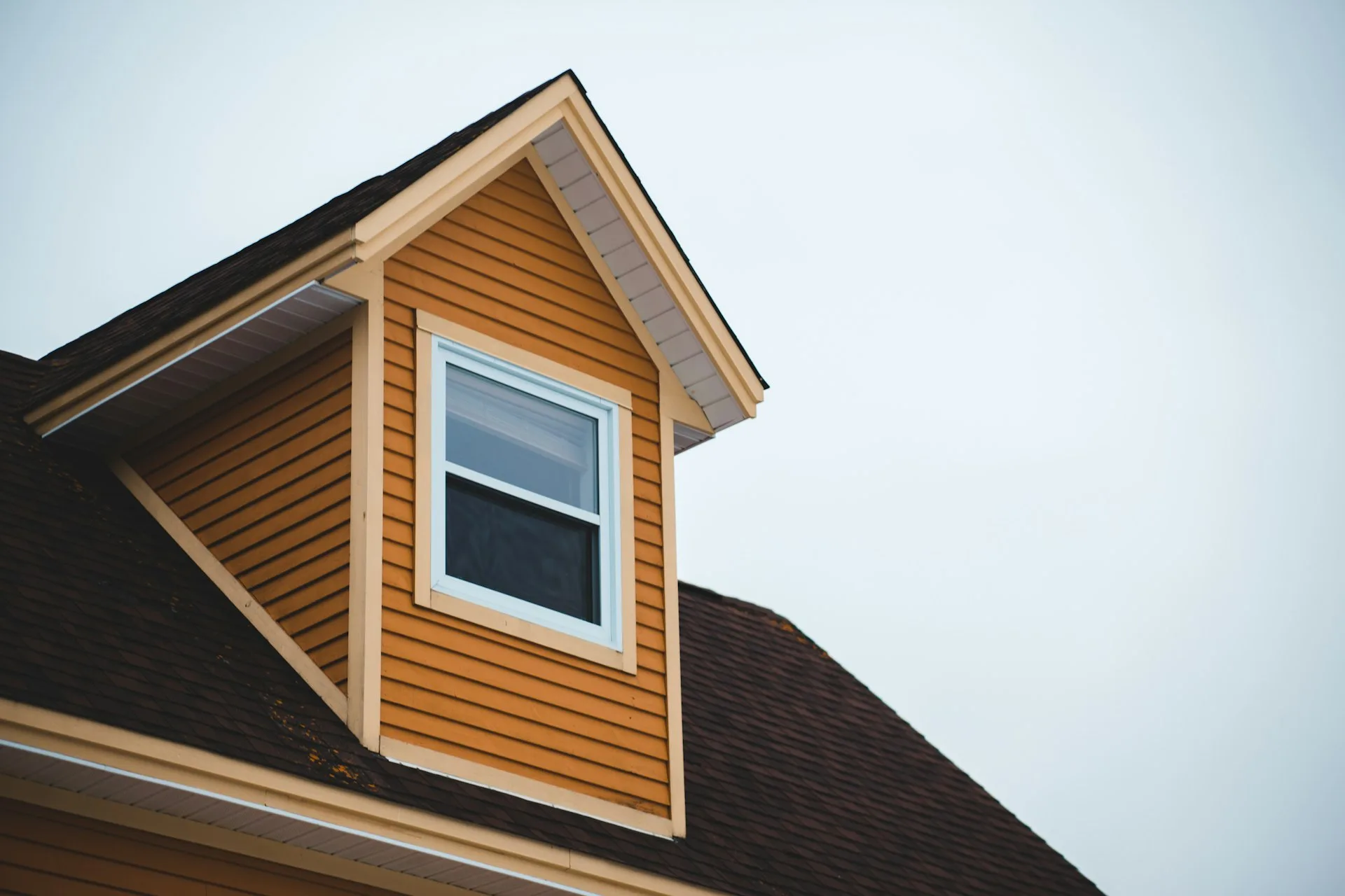 White double-hung window in a siding dormer